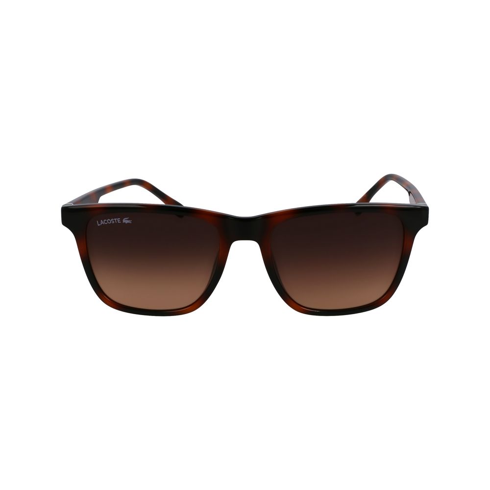 Lacoste Lunettes Solaires Marron, Protection UV, Injectées