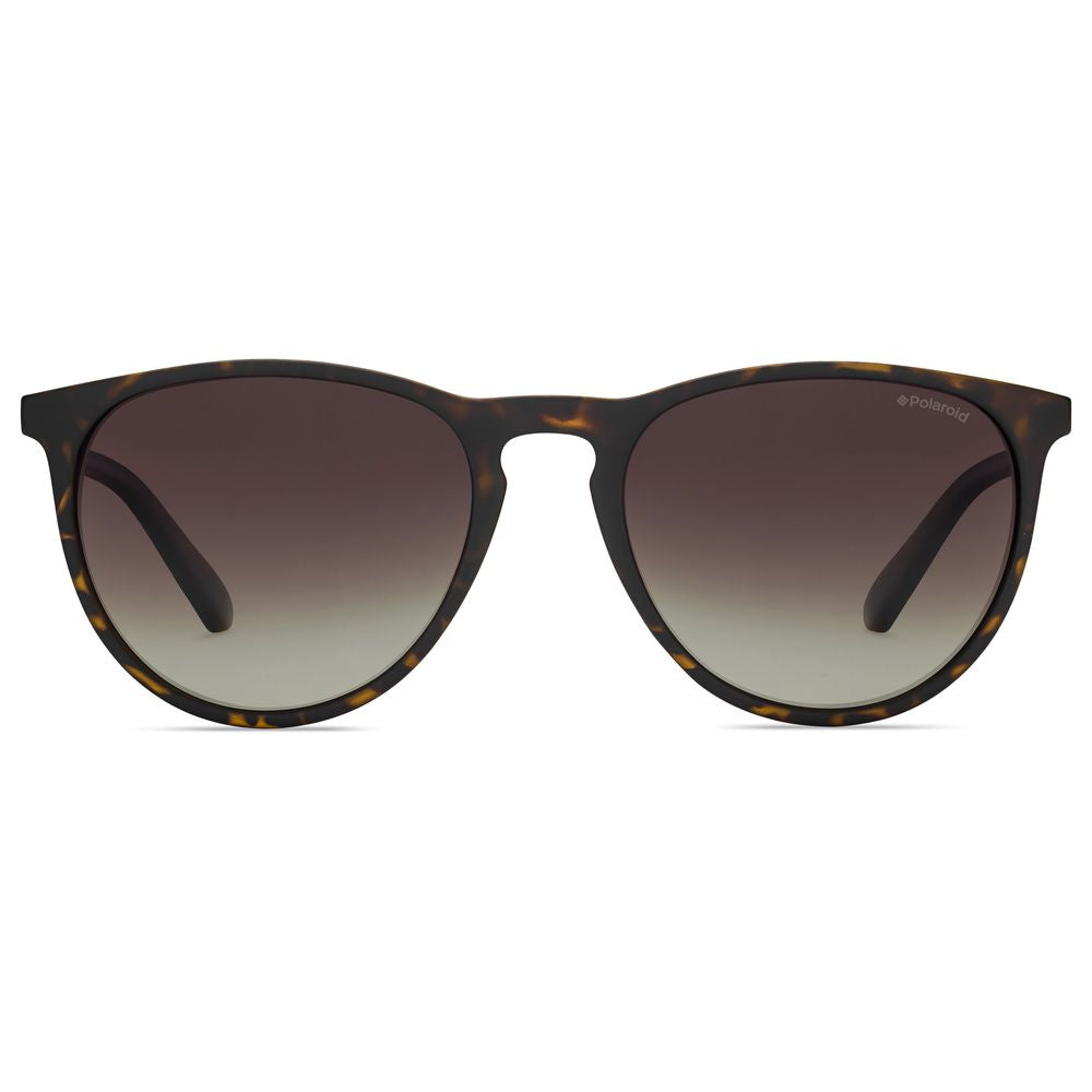 Polaroid Lunettes Havane, Plastique, Gradient Brown