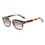 Belstaff Lunette Cooper S192, Acétate Marron, Verres Gris Unisexe