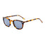Belstaff Lunette Grasmere Acétate Marron, Design Minimaliste, Confort